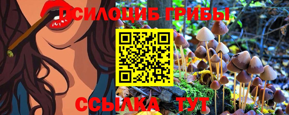 Галлюциногенные грибы Magic Shrooms  Псилоцибиновые грибы Cubensis  Воскресенск  Вход с VPN 